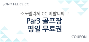 Par3 골프장 평일 무료권