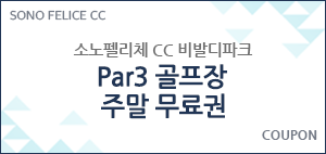 Par3 골프장 주말 무료권