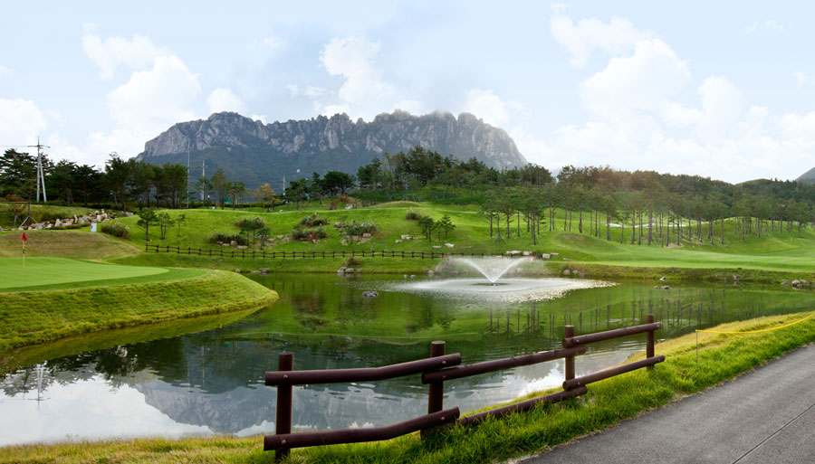 Courses Image
