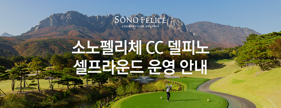 델피노 cc 셀프라운드 운영 안내 
