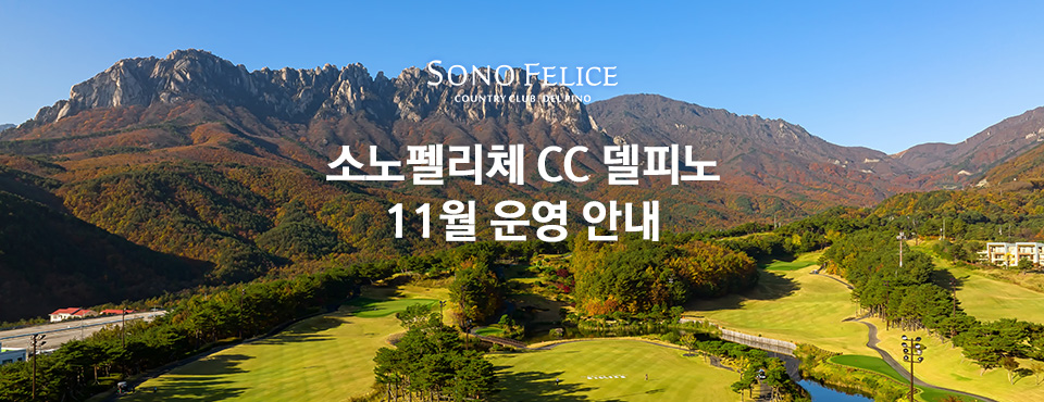 델피노 11월 운영 안내